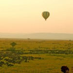Hot-air ballooning provides you with a view of a good diversity of animals