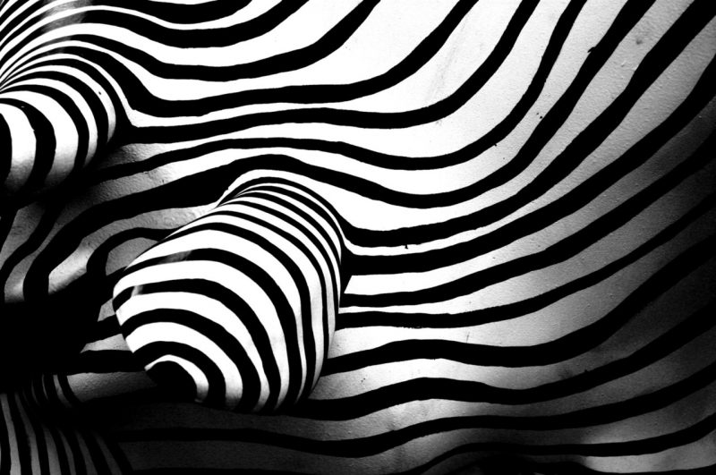 Zebra has a deep meaning in shamanism, African tribal traditions, psychological sciences and many other ancient religions