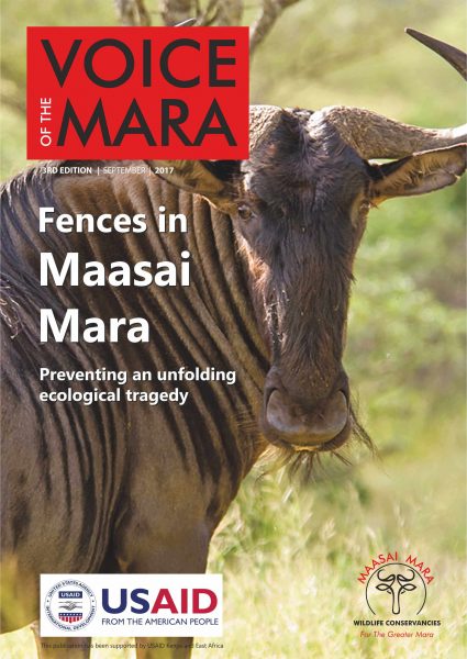 here are challenges faced by Maasai cattle herders in Kenya