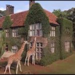 he Giraffe Manor is an exclusive boutique hotel reminiscent of the early European days in Kenya