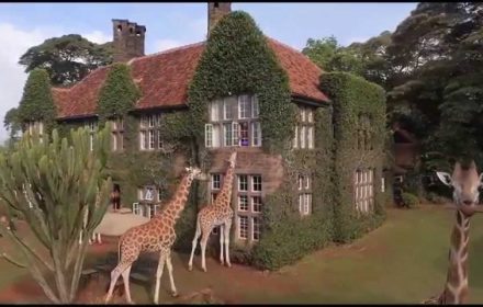 he Giraffe Manor is an exclusive boutique hotel reminiscent of the early European days in Kenya