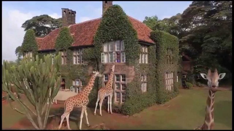 he Giraffe Manor is an exclusive boutique hotel reminiscent of the early European days in Kenya