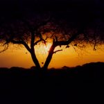 Africa sunset