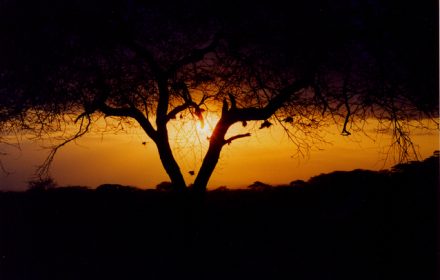 Africa sunset