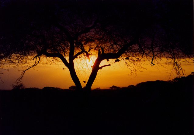 Africa sunset