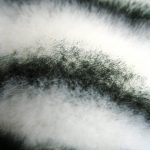 Black-n-white-fibers