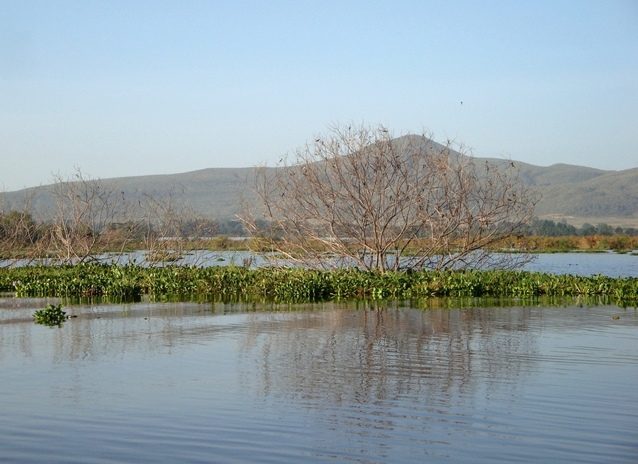 On the lake