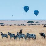 The pioneers of hotair balloons expounded on the buoyancy theory while designing the craft