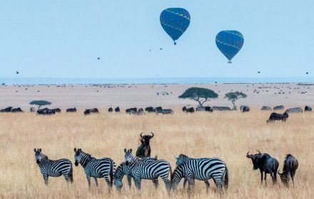 The pioneers of hotair balloons expounded on the buoyancy theory while designing the craft