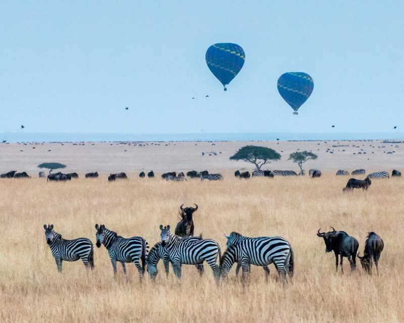 The pioneers of hotair balloons expounded on the buoyancy theory while designing the craft