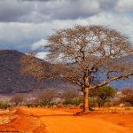 Tsavo national park safari accommodation