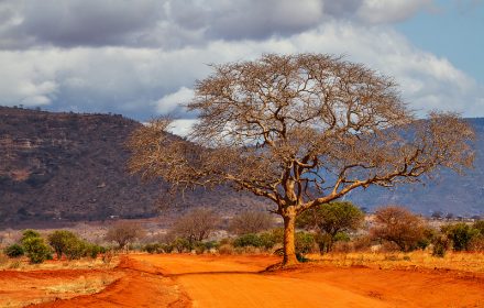 Tsavo national park safari accommodation