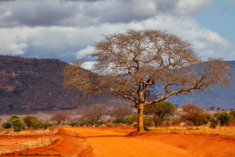 Tsavo national park safari accommodation