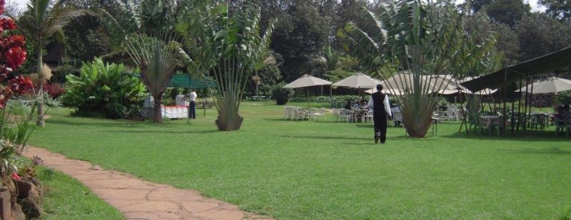 A visit to the Mamba Crocodile Farm gives a chance not only to observe the crocodiles but also learn from the caretakers about how they avoid getting caught by these sly attackers