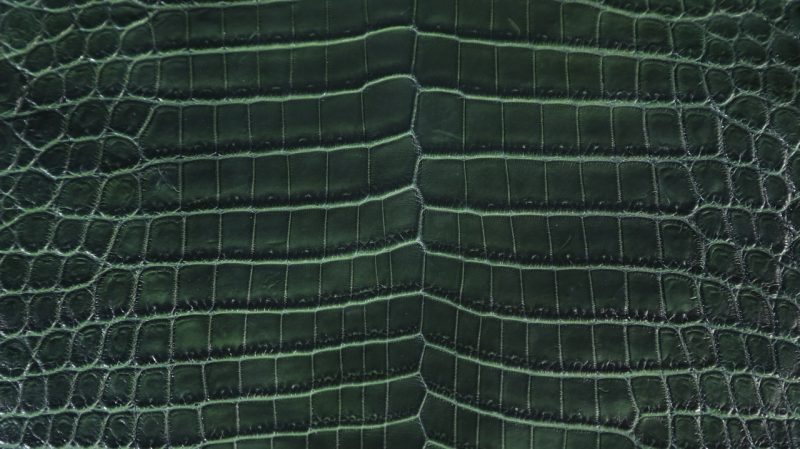 Close Up Crocodile Leather Texture Background In Green Stock Photo, Picture  and Royalty Free Image. Image 37907878.