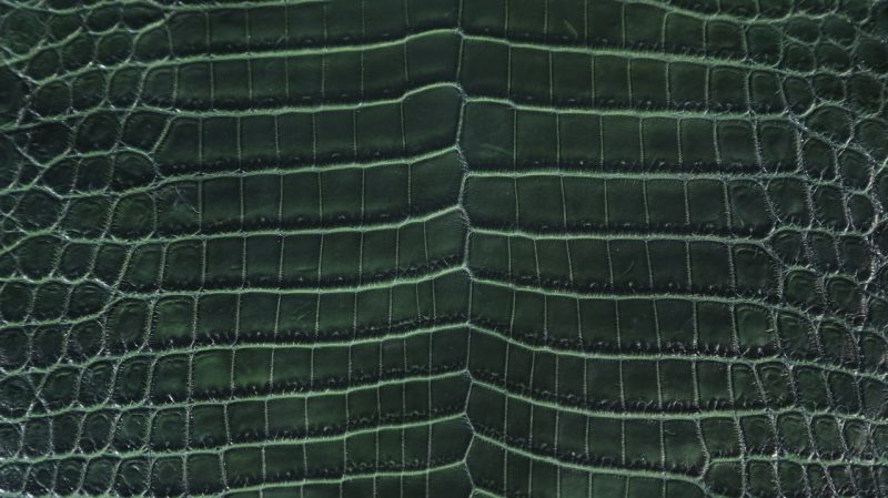 Alligator Skin Belly Matte Green