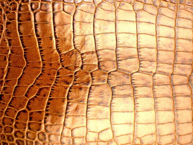 leather crocodile skin