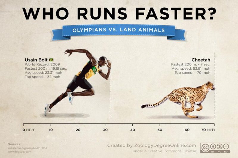 Animals vs Olympians, who runs faster