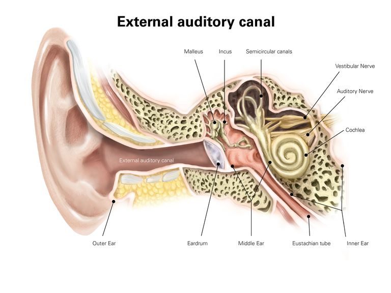 Ear barotrauma while doing balloon safaris