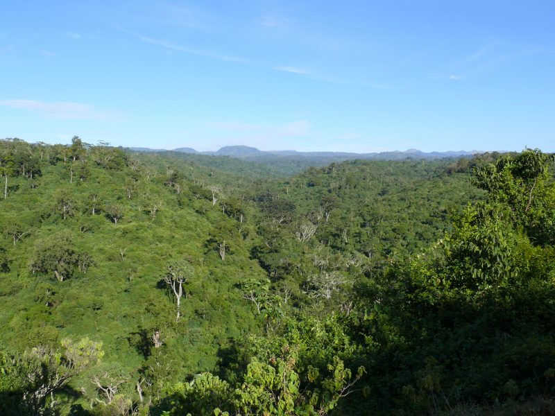 The Aberdare is the third tallest mountain of Kenya and is well known for its salient forests and prolific game