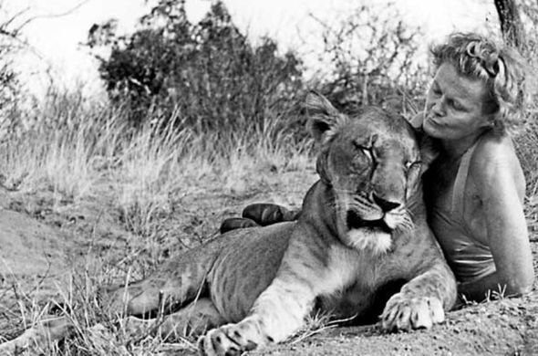 The life of Joy Adamson in Kenya lives through her books and movies
