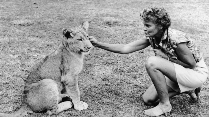 Joy Adamson