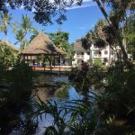 Some rooms provide access to a semi-private pool