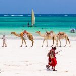 Diani Beach has many of the ingredients of the perfect tropical holiday destination