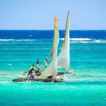 Coral seas abundant with fish life