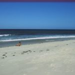 A protective off-shore coral reef protects the white, sandy beaches from strong waves