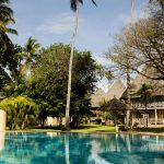 Palm main pool and bungalows