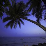 Severin Sea Lodge Mombasa
