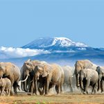 Ol Tukai Lodge Amboseli