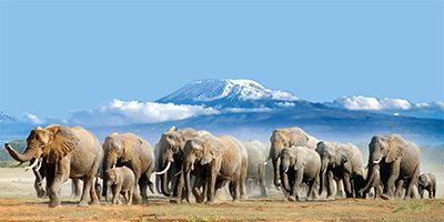 Ol Tukai Lodge Amboseli