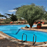 Kibo safari camp pool