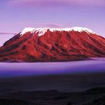 Kilimanjaro