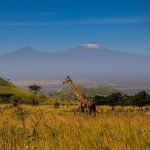 Local Maasai landlord