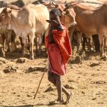 Maasai landlords