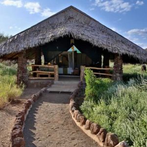safari kibo amboseli