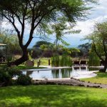 Tawi Lodge Amboseli