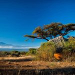 Tawi Lodge Amboseli