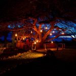 Tawi Lodge Amboseli