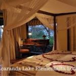 Jacaranda best hotels