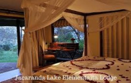 Jacaranda best hotels