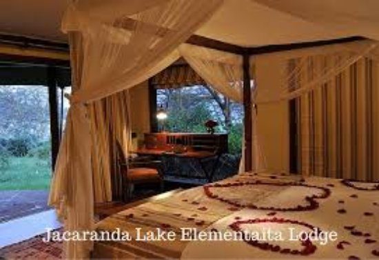 Jacaranda best hotels