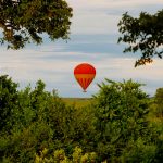 Balloon safaris