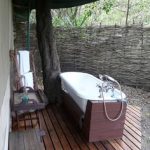 Safari bathroom shower tub