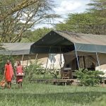 Safari camp