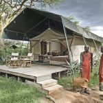 Safari camps