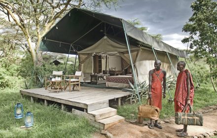 Safari camps